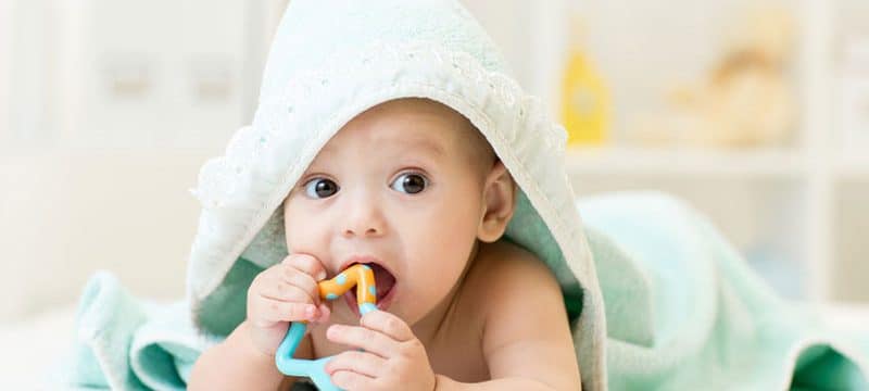 Dental Health for Toddlers